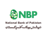 NBP-SNS